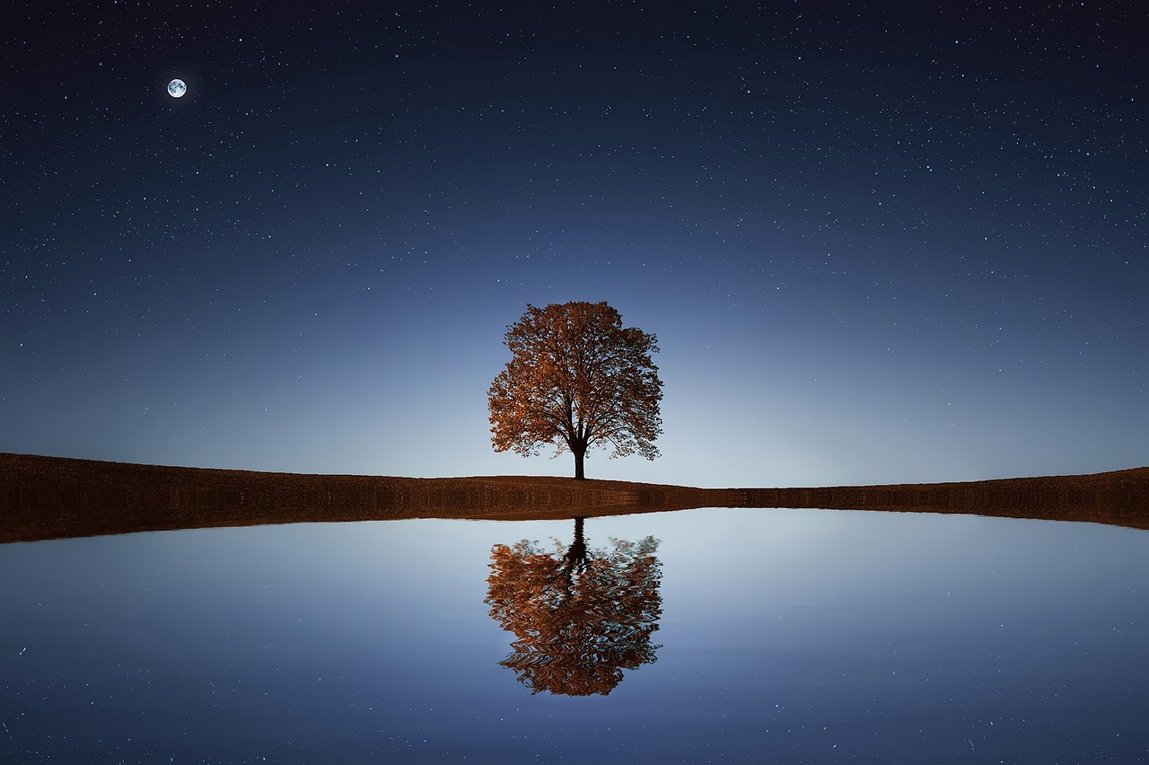 tree_838667_1280.jpg