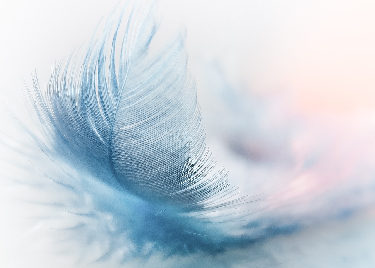 feather_3010848_1280.jpg